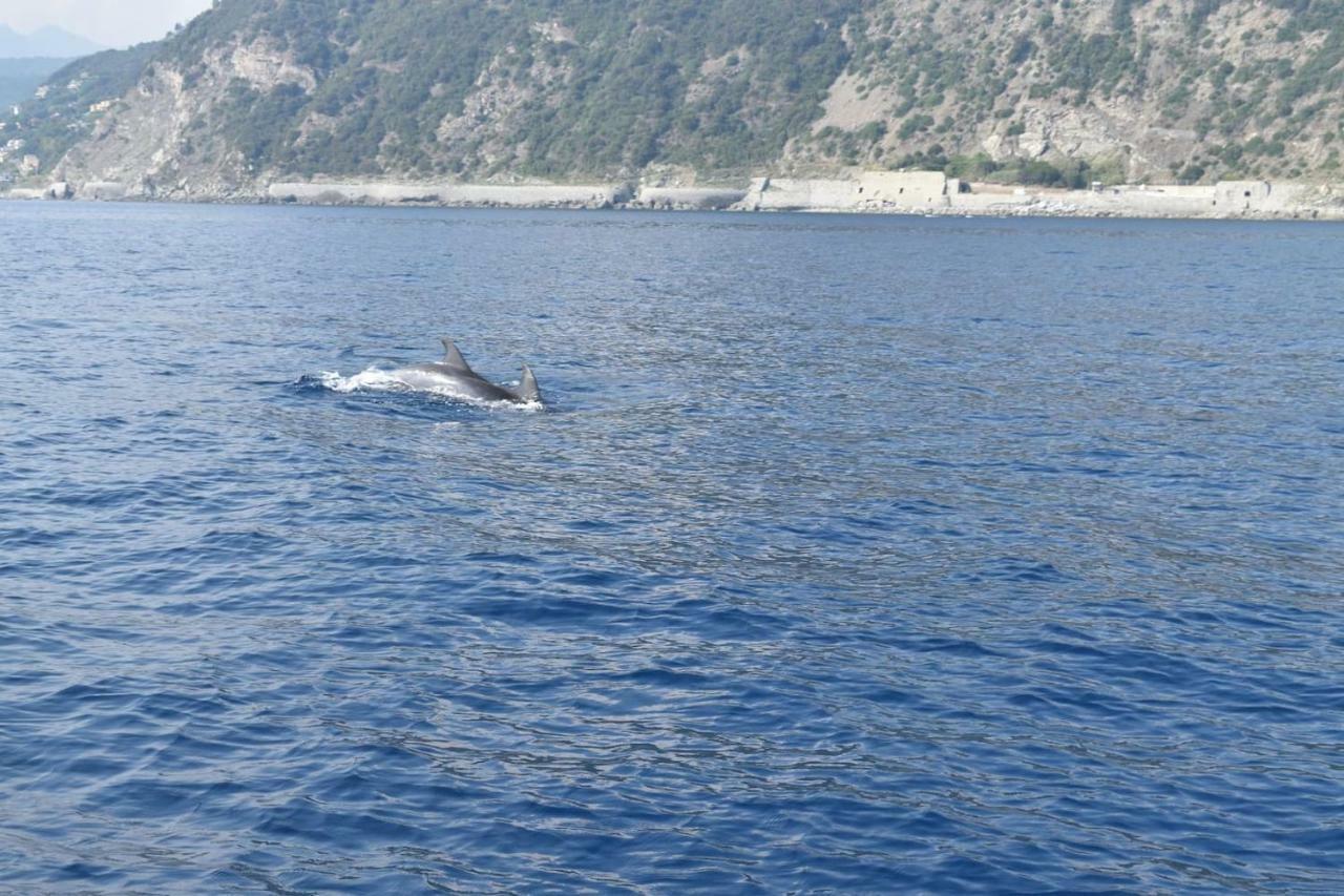 Tavernetta 109 Terrazza Tra Le 5 Terre E Portofino Deiva Marina Εξωτερικό φωτογραφία