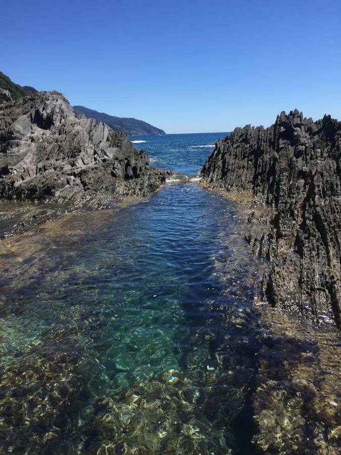 Tavernetta 109 Terrazza Tra Le 5 Terre E Portofino Deiva Marina Εξωτερικό φωτογραφία
