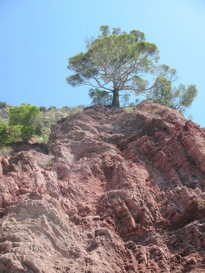 Tavernetta 109 Terrazza Tra Le 5 Terre E Portofino Deiva Marina Εξωτερικό φωτογραφία